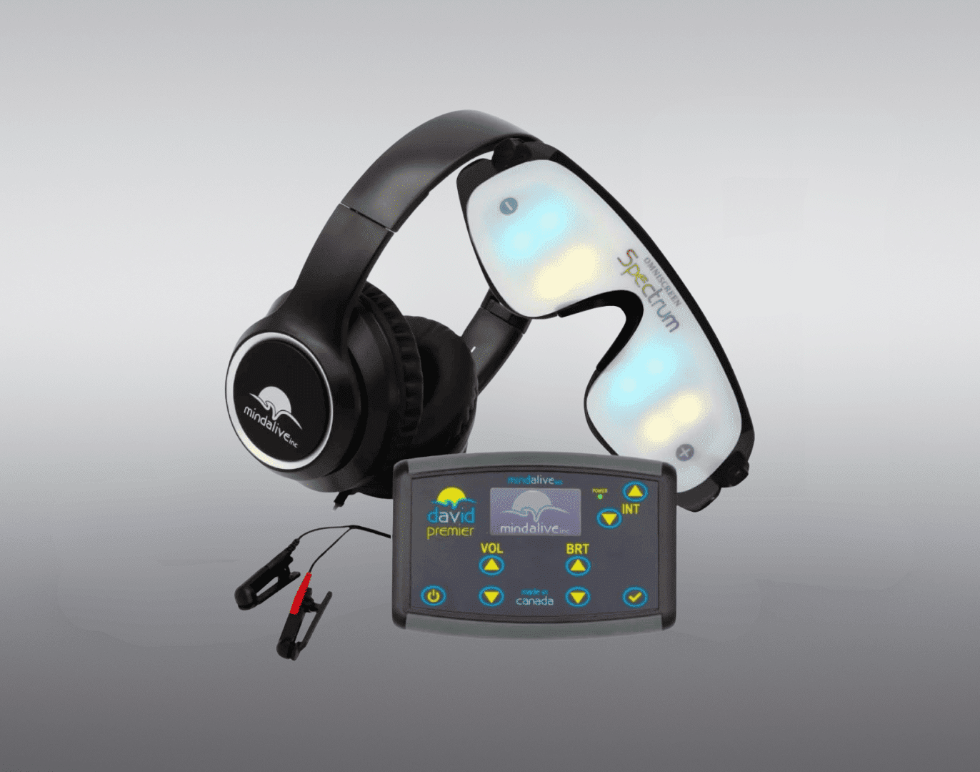 mind alive david premier